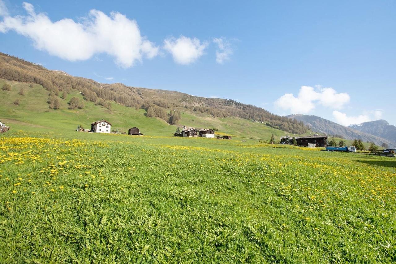 Baita Truzz Appartamento Valle Livigno Exterior photo